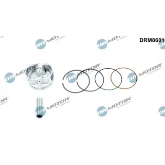 Piston Dr.Motor DRM8601