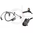 Capteur, vitesse de roue A.B.S. 31810 - Visuel 1