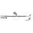 Flexible de frein A.B.S. SL 3703 - Visuel 1