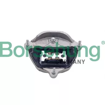 Support moteur Borsehung B10041