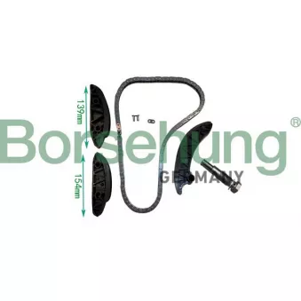 Kit de distribution par chaîne Borsehung B10239