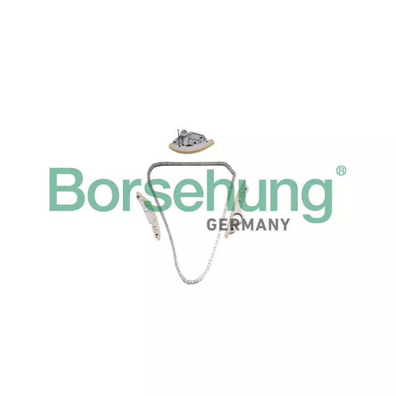 Kit de distribution par chaîne Borsehung B10246