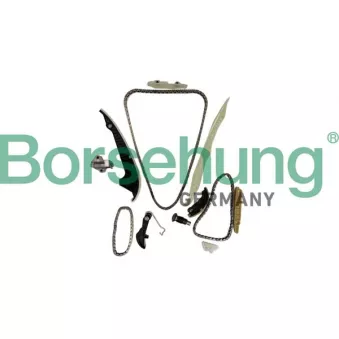 Kit de distribution par chaîne Borsehung B10252