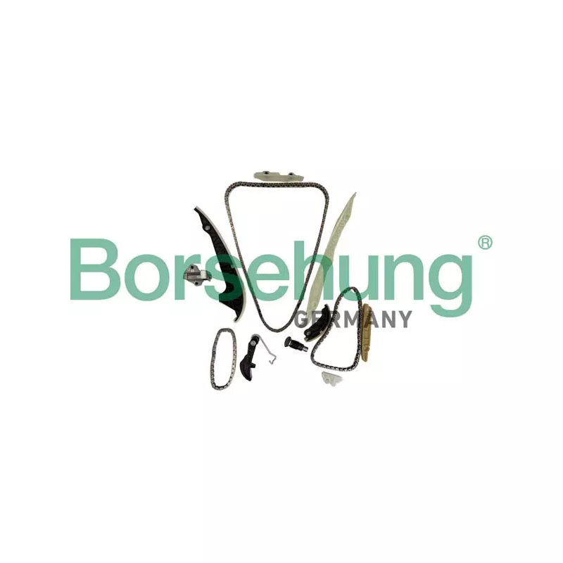 Kit de distribution par chaîne Borsehung B10252