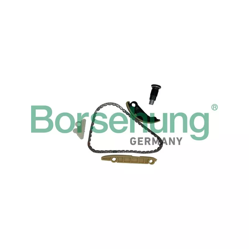Kit de distribution par chaîne Borsehung B10254