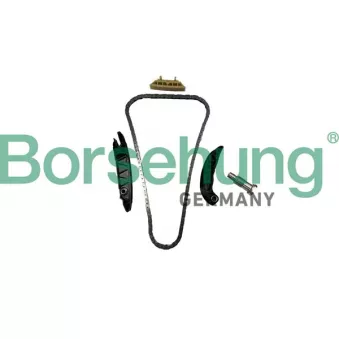Kit de distribution par chaîne Borsehung B10256