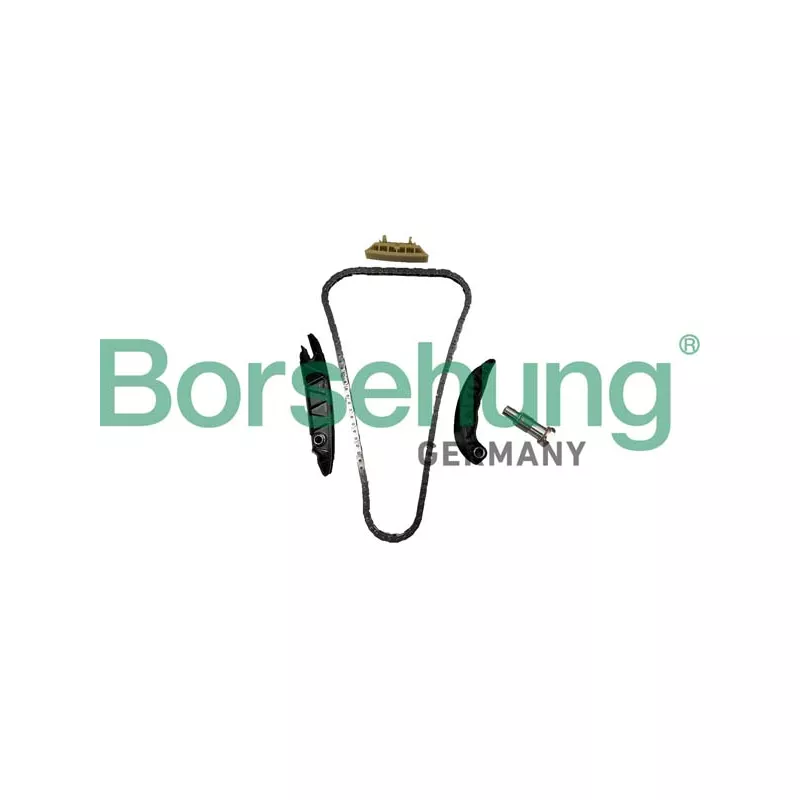Kit de distribution par chaîne Borsehung B10256