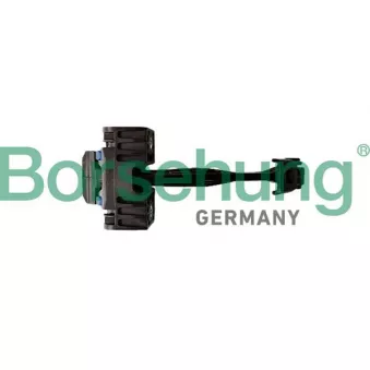 Cale-porte Borsehung B10278