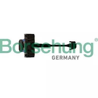 Cale-porte Borsehung B10280