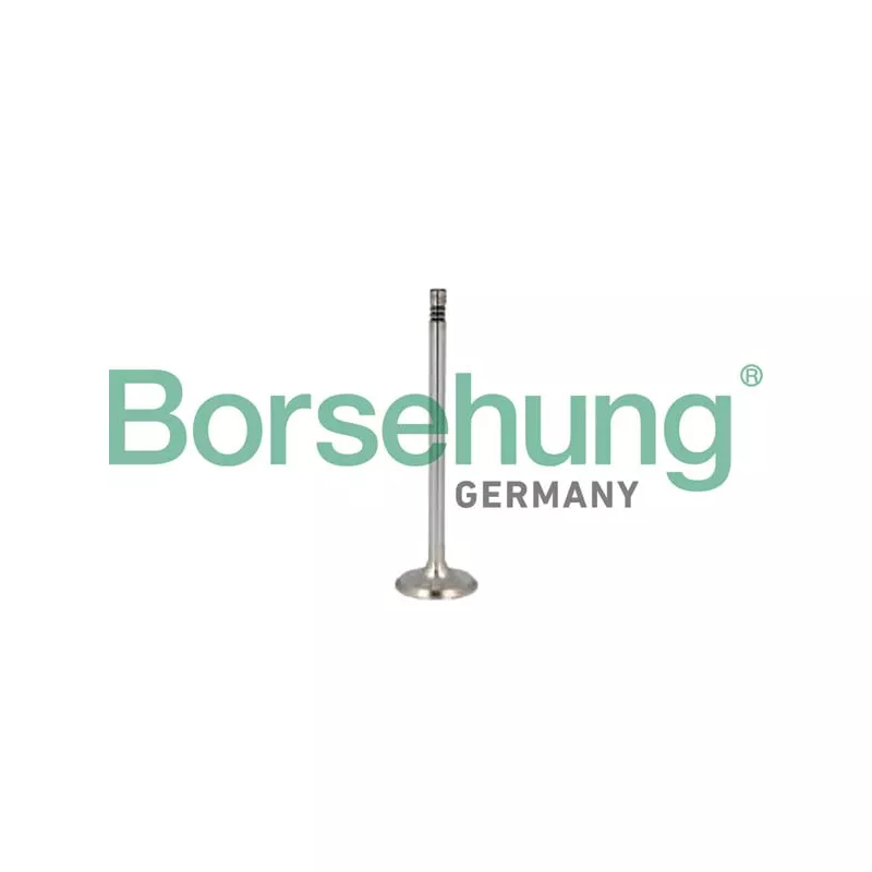 Soupape d'émission Borsehung B10352