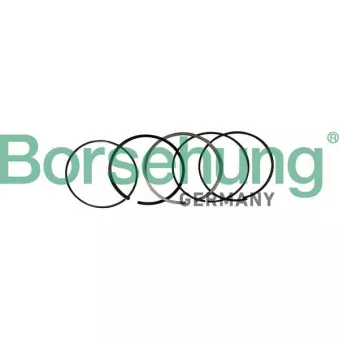 Jeu de segments de pistons Borsehung B10369