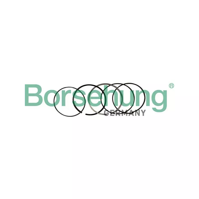 Jeu de segments de pistons Borsehung B10369