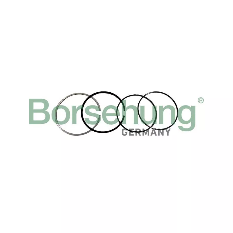 Jeu de segments de pistons Borsehung B10371