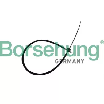 Tirette de capot moteur Borsehung B10778