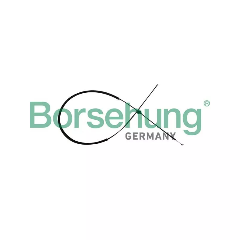 Tirette de capot moteur Borsehung B10782