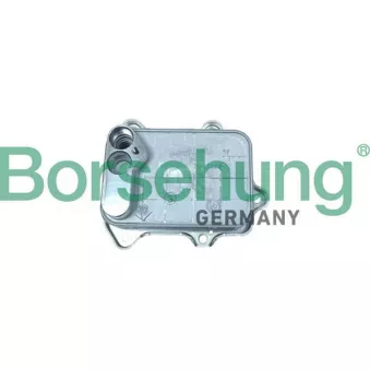Radiateur d'huile Borsehung B10883