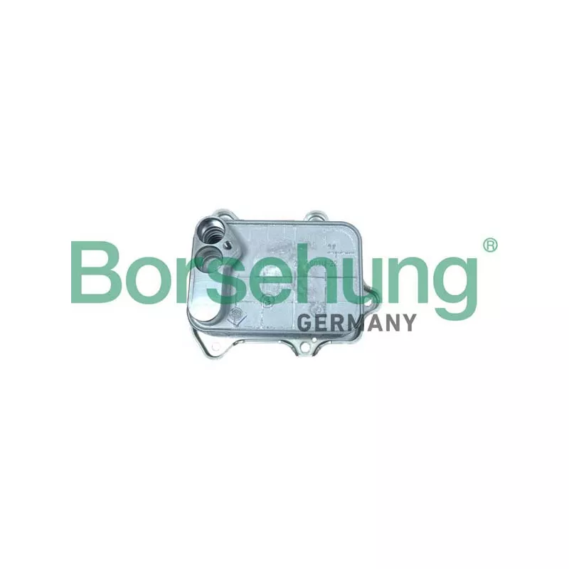 Radiateur d'huile Borsehung B10883