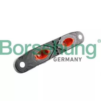Cache batterie Borsehung B10996