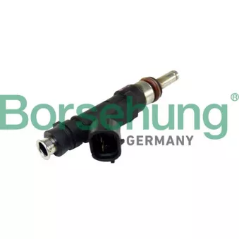 Injecteur Borsehung