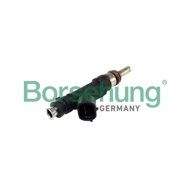 Injecteur Borsehung B11166