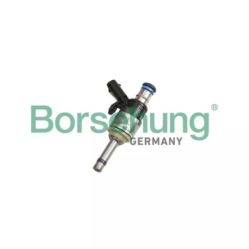 Injecteur Borsehung B11168