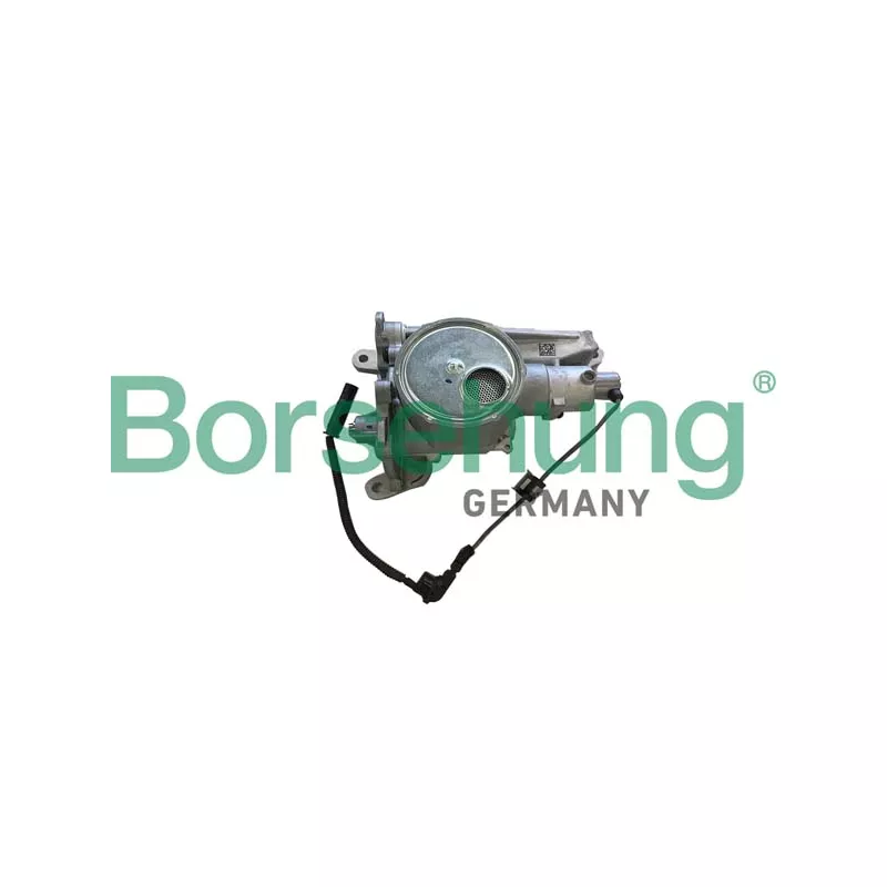 Pompe à huile Borsehung B11900