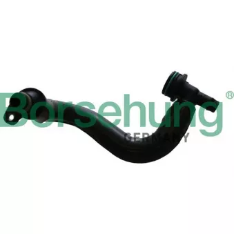 Tuyau, ventilation de carter-moteur Borsehung B12306