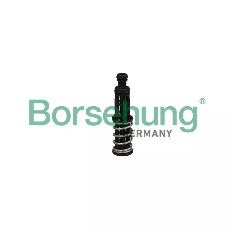 Valve de pression d'huile Borsehung B12309