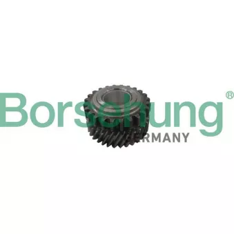 Roue dentée, arbre à contrepoids d'équilibrage Borsehung B12311
