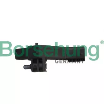 Capteur d'angle, vilebrequin Borsehung B12319