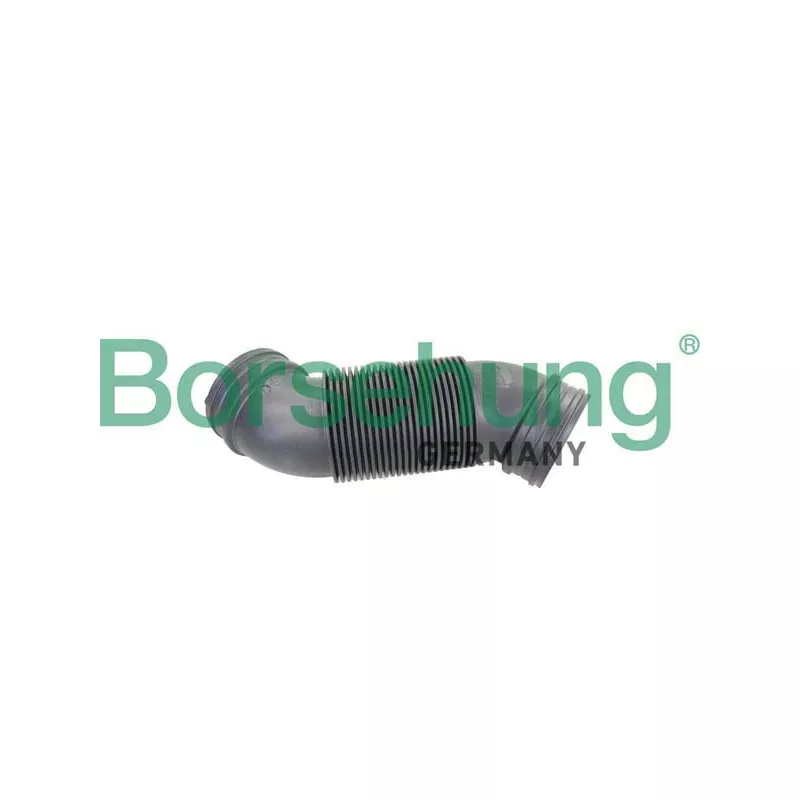Tuyau d'aspiration, alimentation d'air Borsehung B12323