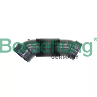 Tuyau d'aspiration, alimentation d'air Borsehung B12324