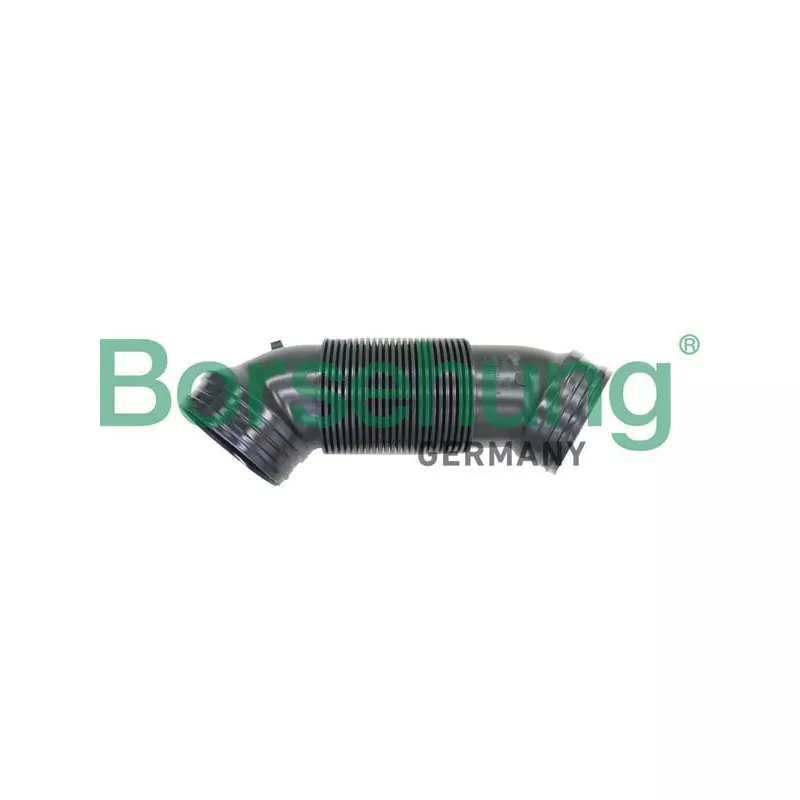 Tuyau d'aspiration, alimentation d'air Borsehung B12324