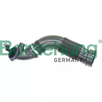 Tuyau d'aspiration, alimentation d'air Borsehung B12325
