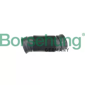Tuyau d'aspiration, alimentation d'air Borsehung B12326