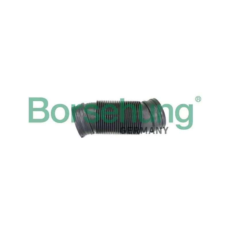 Tuyau d'aspiration, alimentation d'air Borsehung B12326