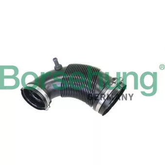 Tuyau d'aspiration, alimentation d'air Borsehung B12328