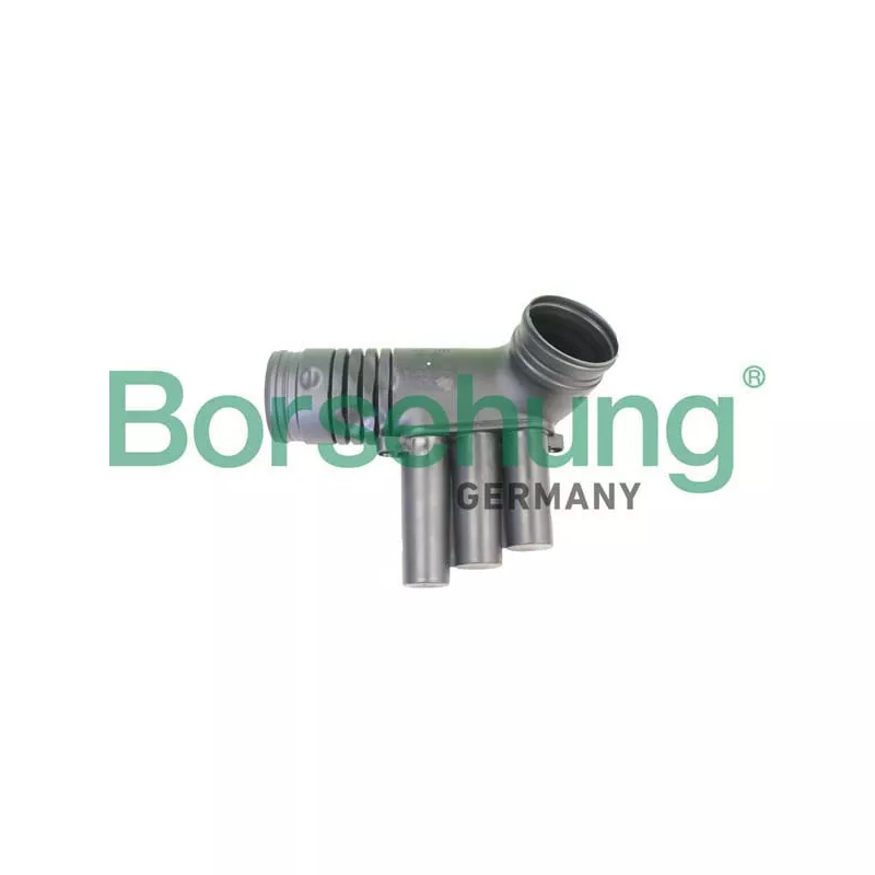 Tuyau d'aspiration, alimentation d'air Borsehung B12330