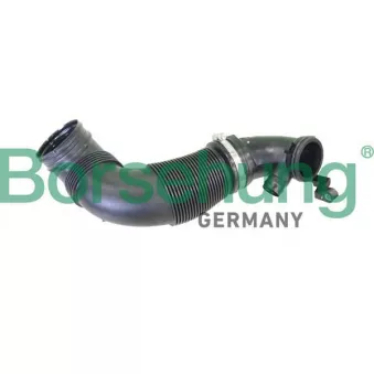 Tuyau d'aspiration, alimentation d'air Borsehung B12331