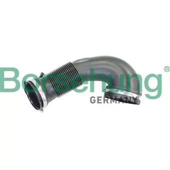 Tuyau d'aspiration, alimentation d'air Borsehung B12333