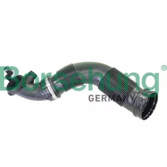 Tuyau d'aspiration, alimentation d'air Borsehung B12335