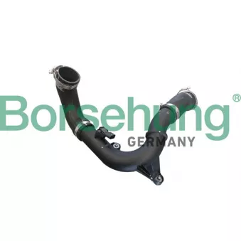Gaine de suralimentation Borsehung B12347