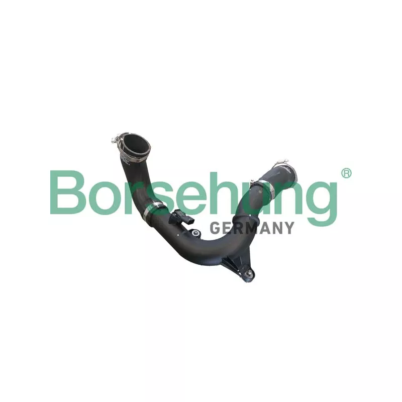 Gaine de suralimentation Borsehung B12347