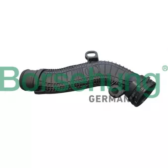 Tuyau, ventilation de carter-moteur Borsehung B12348