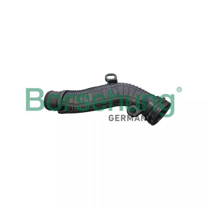 Tuyau, ventilation de carter-moteur Borsehung B12348
