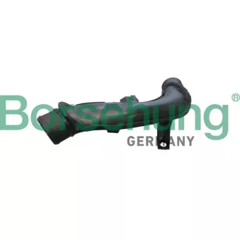 Gaine de suralimentation Borsehung B12349