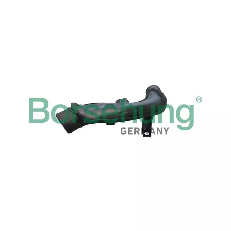 Gaine de suralimentation Borsehung B12349