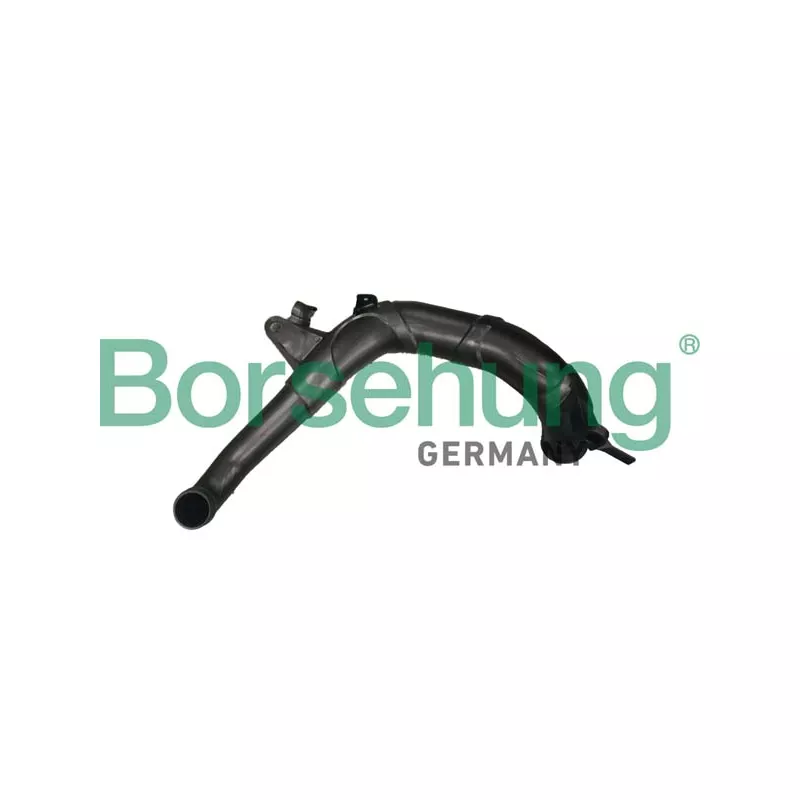 Gaine de suralimentation Borsehung B12350
