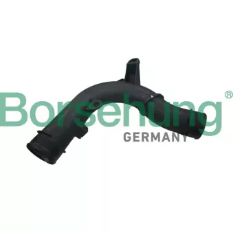 Gaine de suralimentation Borsehung B12351