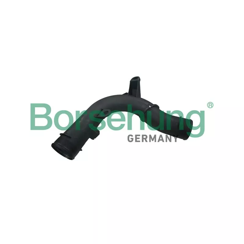 Gaine de suralimentation Borsehung B12351